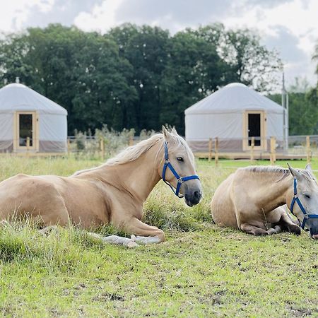 Magnolia Hoeve - Unieke Bestemming Voor Paardenliefhebbers En Bijzondere Overnachtingen In De Natuur Ledeacker エクステリア 写真