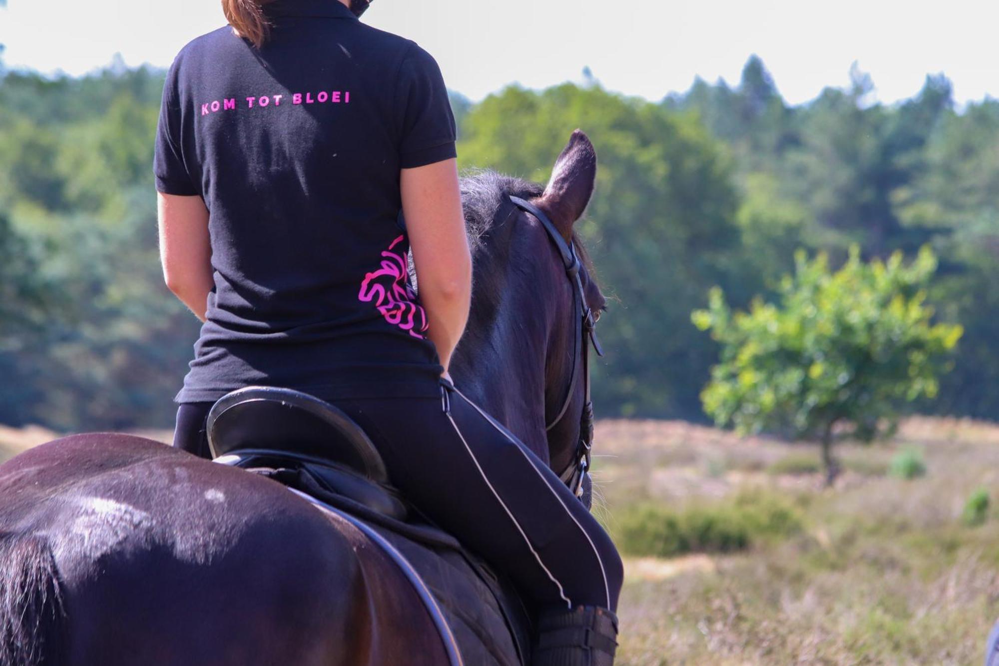 Magnolia Hoeve - Unieke Bestemming Voor Paardenliefhebbers En Bijzondere Overnachtingen In De Natuur Ledeacker エクステリア 写真