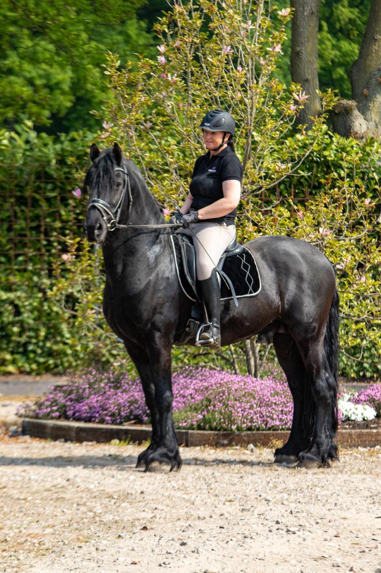 Magnolia Hoeve - Unieke Bestemming Voor Paardenliefhebbers En Bijzondere Overnachtingen In De Natuur Ledeacker エクステリア 写真