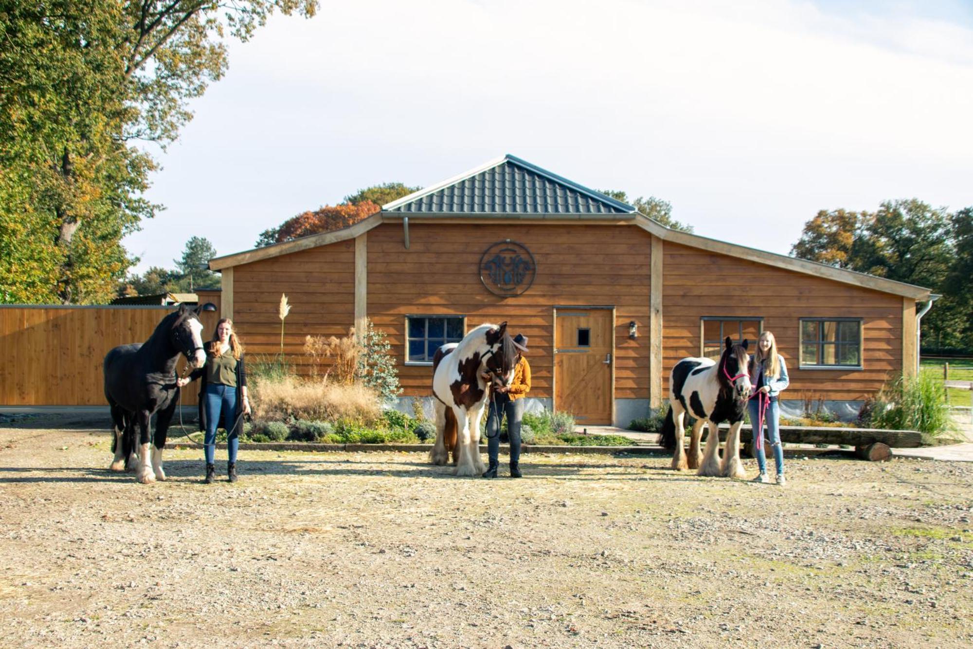 Magnolia Hoeve - Unieke Bestemming Voor Paardenliefhebbers En Bijzondere Overnachtingen In De Natuur Ledeacker エクステリア 写真