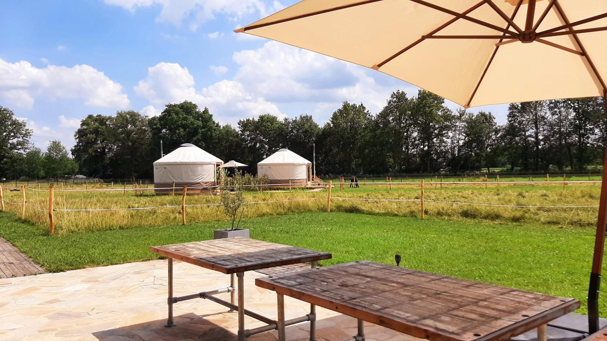 Magnolia Hoeve - Unieke Bestemming Voor Paardenliefhebbers En Bijzondere Overnachtingen In De Natuur Ledeacker エクステリア 写真