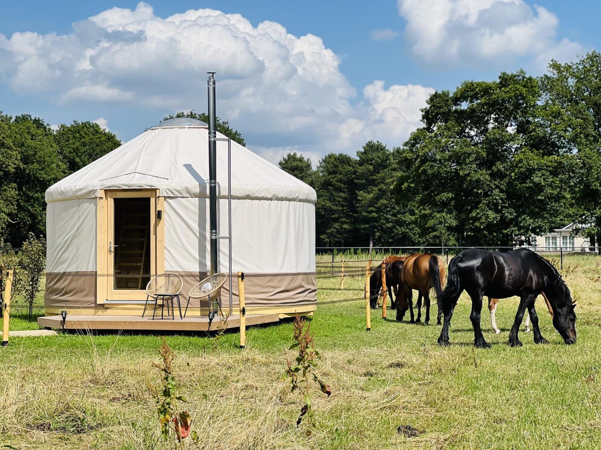 Magnolia Hoeve - Unieke Bestemming Voor Paardenliefhebbers En Bijzondere Overnachtingen In De Natuur Ledeacker エクステリア 写真