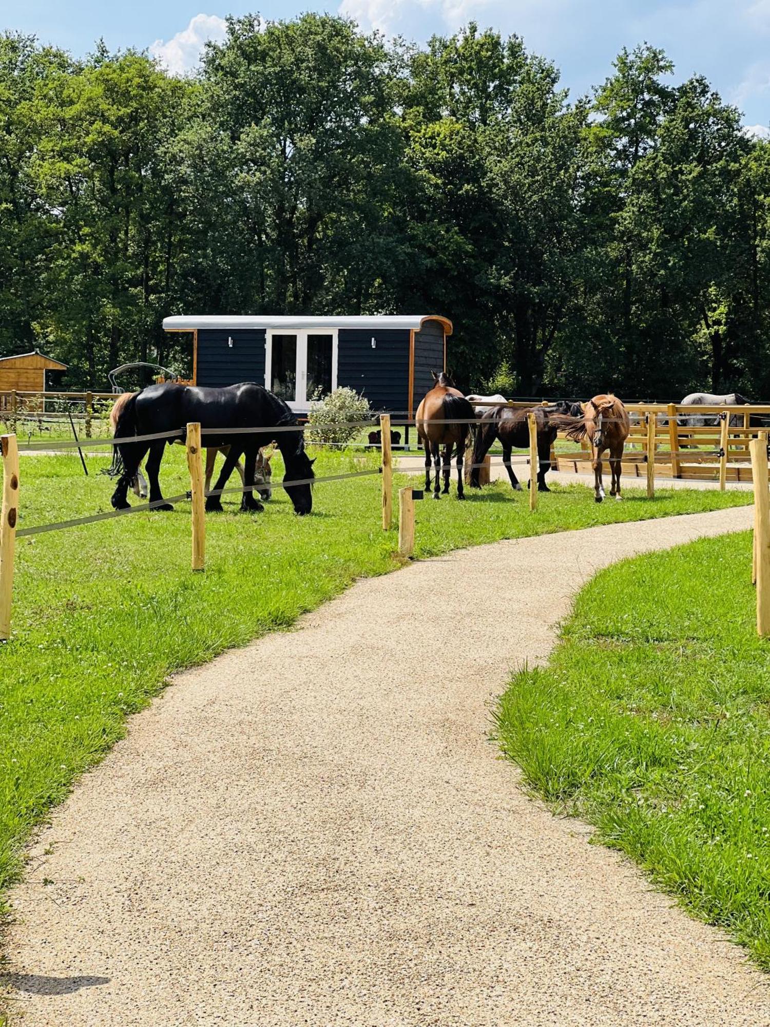 Magnolia Hoeve - Unieke Bestemming Voor Paardenliefhebbers En Bijzondere Overnachtingen In De Natuur Ledeacker エクステリア 写真