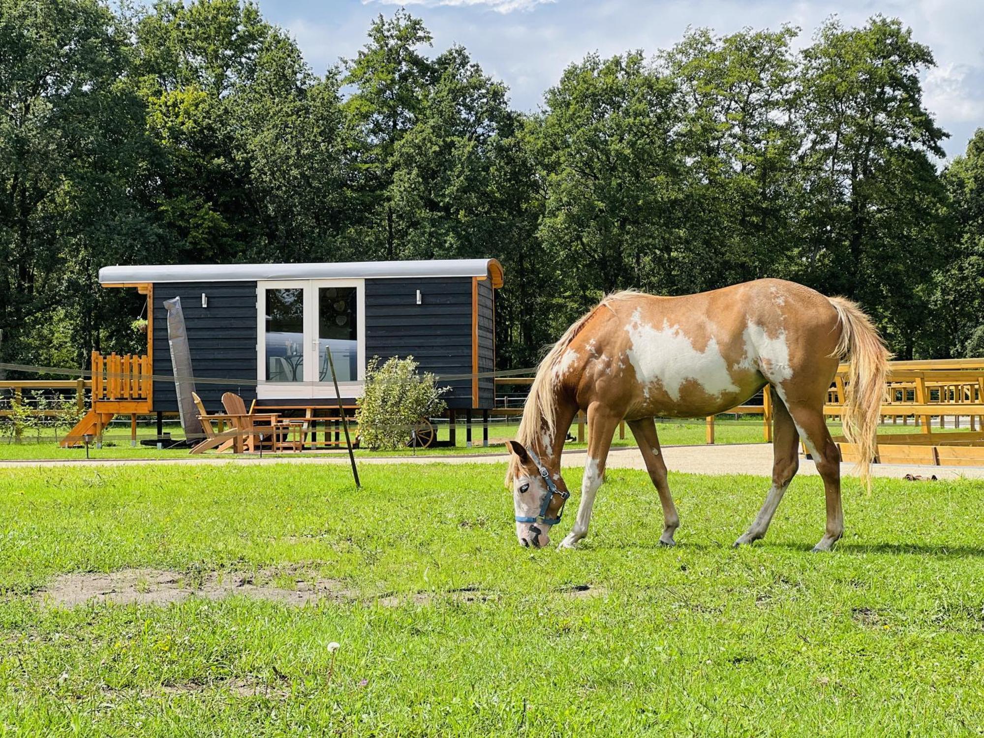 Magnolia Hoeve - Unieke Bestemming Voor Paardenliefhebbers En Bijzondere Overnachtingen In De Natuur Ledeacker エクステリア 写真
