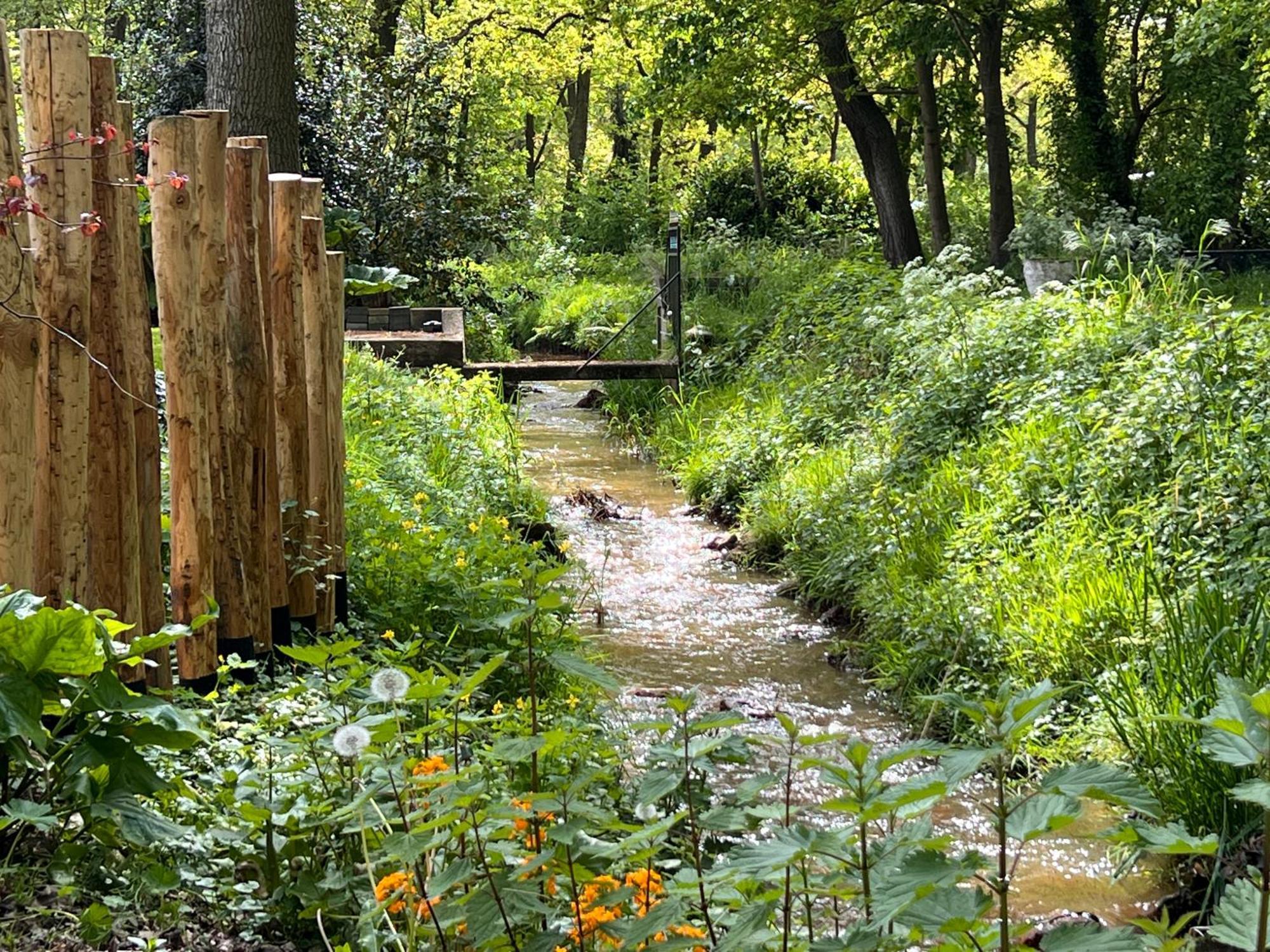 Magnolia Hoeve - Unieke Bestemming Voor Paardenliefhebbers En Bijzondere Overnachtingen In De Natuur Ledeacker エクステリア 写真